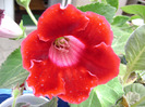 DSC07476