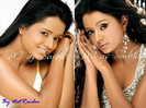 Parul_Collage_Small_01