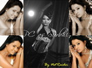 Parul_Collage_Small_04