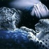animale salbatice
