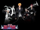 Bleach-4 voturi