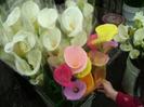 images (1)