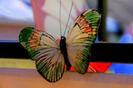 images (2)