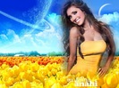 Labello (20)