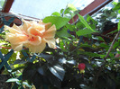 SAM_0632