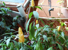 SAM_0634