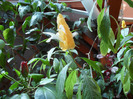 SAM_0635