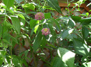SAM_0639