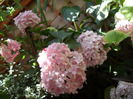 SAM_0641