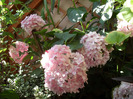 SAM_0642