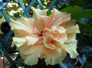 SAM_0645