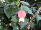 SAM_0647