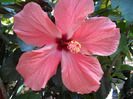 SAM_0676