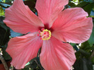 SAM_0677