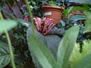 SAM_0686