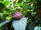 SAM_0689