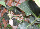 SAM_0695