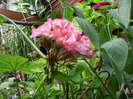 SAM_0697