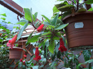 SAM_0699
