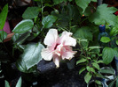 SAM_0704