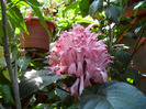 SAM_0720