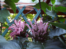 SAM_0722