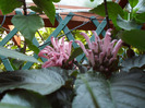 SAM_0723