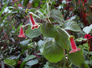 SAM_0724