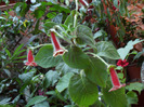 SAM_0726