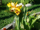 DSC02260