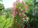 DSC02195