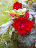 DSC03008
