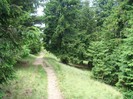 DSC07978