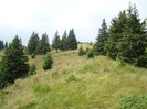 DSC07983