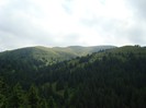 DSC08003