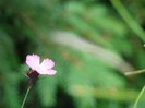 DSC08005