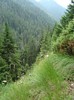 DSC08007