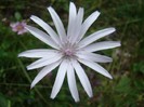 DSC08008
