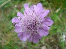 DSC08009