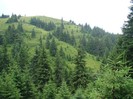 DSC08010