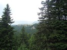 DSC08011