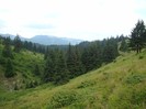 DSC08016