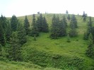 DSC08017