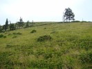 DSC08019