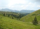 DSC08022