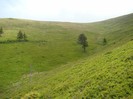 DSC08023