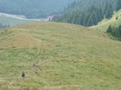 DSC08041