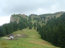 DSC08134