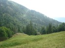 DSC08135