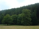 DSC08156